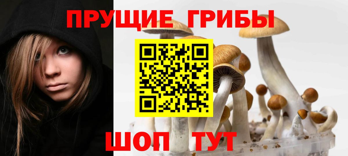 Галлюциногенные грибы GOLDEN TEACHER Подольск