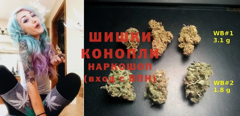 Конопля White Widow  цены   Подольск 